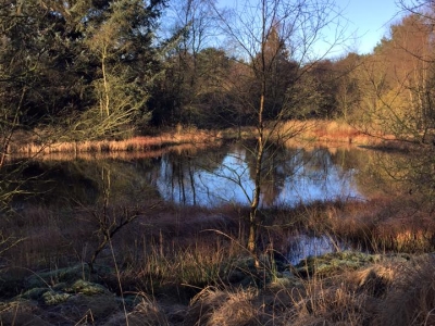 Natur
